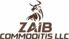 zaib logo